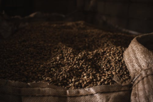 السعودية وإيطاليا تتعاونان لتطوير سلاسل إمداد القهوة بأفريقيا