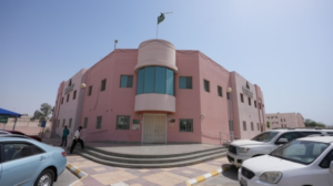 41 مليون زيارة لمراكز الرعاية الصحية بالسعودية في 2024