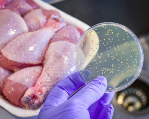 عقوبات التسمم الغذائي في السعودية: غرامات وإحالة للنيابة