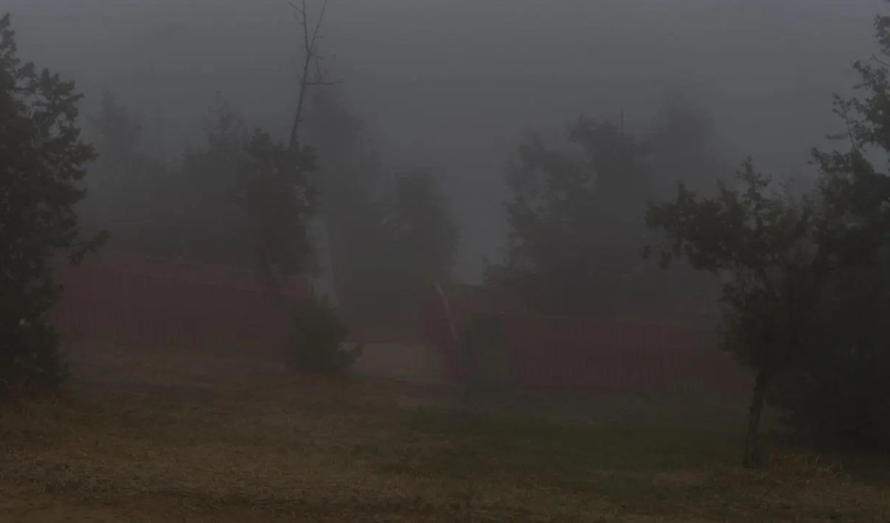 ضباب خفيف في 4 مناطق بالسعودية: تحذير وتفاصيل من الأرصاد