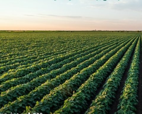 حملة شتانا صح 2: حماية البيئة ودعم الأمن الغذائي بالمملكة