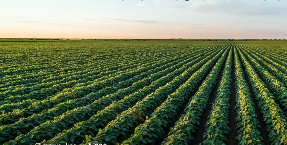 حملة شتانا صح 2: حماية البيئة ودعم الأمن الغذائي بالمملكة