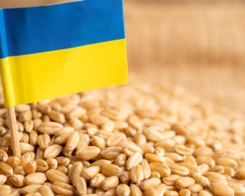 تراجع صادرات الحبوب الأوكرانية وتأثيره على الغذاء العالمي