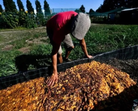 كاوست تحول مخلفات الطعام لصبغة زرقاء طبيعية ومستدامة