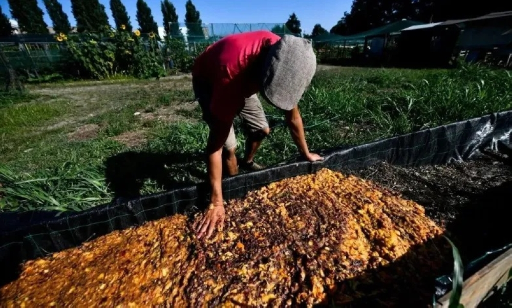 كاوست تحول مخلفات الطعام لصبغة زرقاء طبيعية ومستدامة