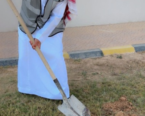 بلدية الرفيعة تزرع 250 شجرة بالشيحية لدعم البيئة ورؤية 2030