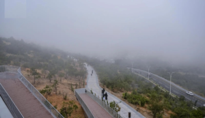 ضباب كثيف في السعودية: تحذير من الأرصاد في 3 مناطق رئيسية