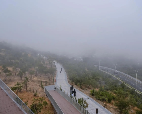 ضباب كثيف في السعودية: تحذير من الأرصاد في 3 مناطق رئيسية