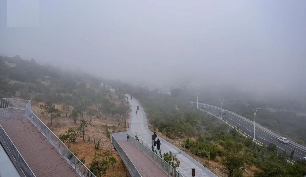 ضباب كثيف في السعودية: تحذير من الأرصاد في 3 مناطق رئيسية