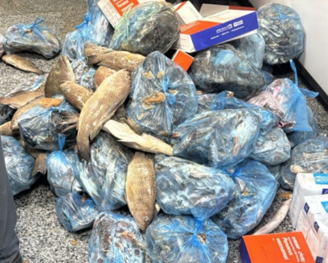 ضبط أسماك ودواجن فاسدة بعسير لحماية سلامة الغذاء