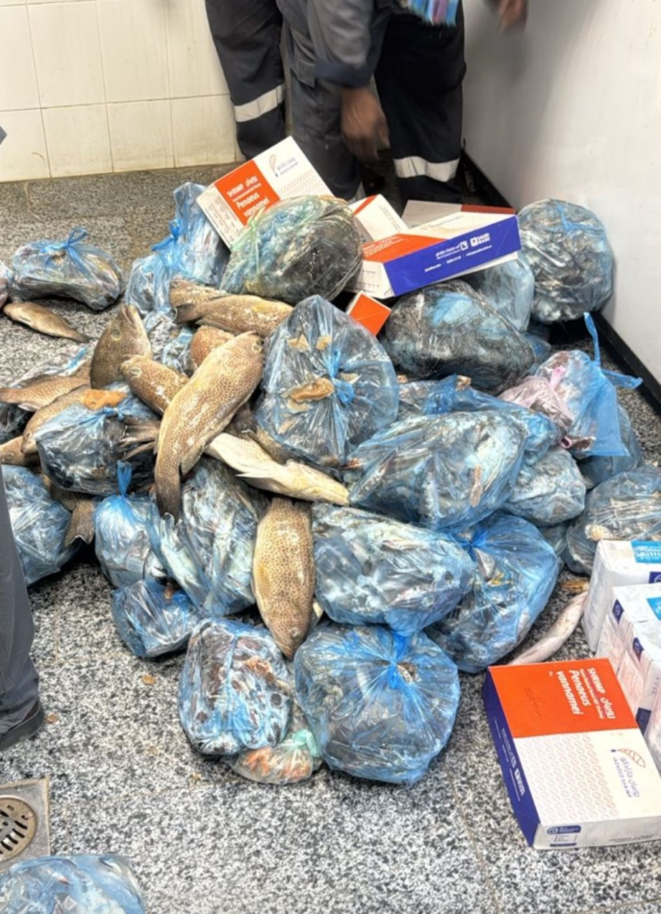 ضبط أسماك ودواجن فاسدة بعسير لحماية سلامة الغذاء