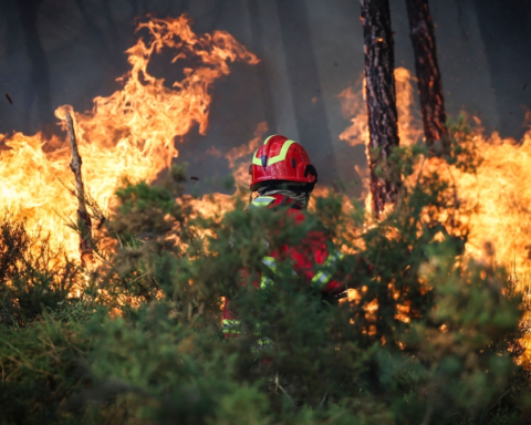 ختام ورشة حرائق الغابات بجدة: آليات وطنية للرصد والمكافحة