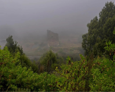 الأرصاد: ضباب وتدني الرؤية في 4 مناطق سعودية اليوم الخميس