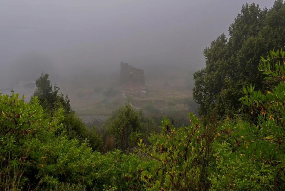 الأرصاد: ضباب وتدني الرؤية في 4 مناطق سعودية اليوم الخميس