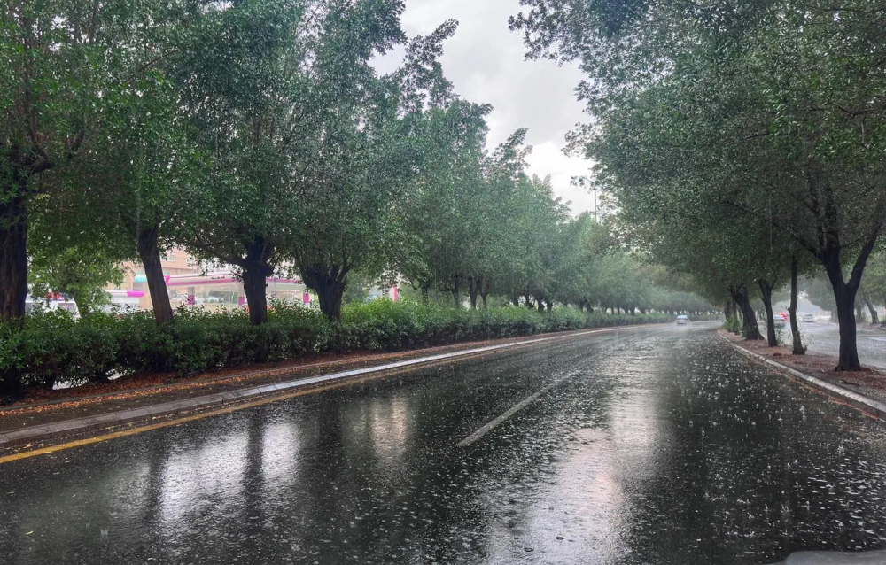 طقس السعودية: أمطار رعدية وسيول متوقعة حتى 11 ديسمبر