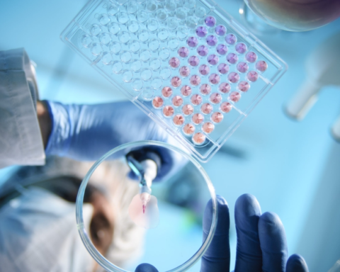 معايير ممارس البحث الإكلينيكي الجديدة 2025: البكالوريوس والتسجيل