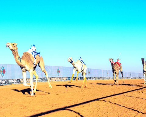 فعاليات مهرجان الملك عبدالعزيز للإبل 10: تراث عريق ورؤية عالمية