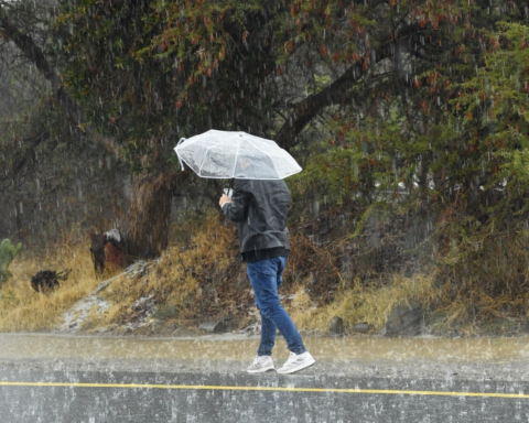 تعليق التدريب الحضوري بالمدينة المنورة وتحويله عن بعد