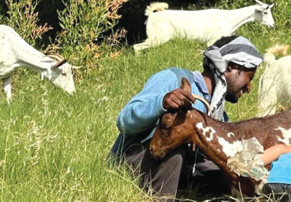 لائحة عمال الزراعة والرعاة: ساعات العمل والإجازات والحقوق