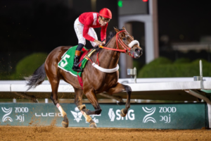 الضرب بطل كأس الحرس الوطني وتحزيم يتوج بكأس مجلس الإدارة