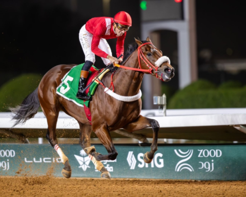 الضرب بطل كأس الحرس الوطني وتحزيم يتوج بكأس مجلس الإدارة