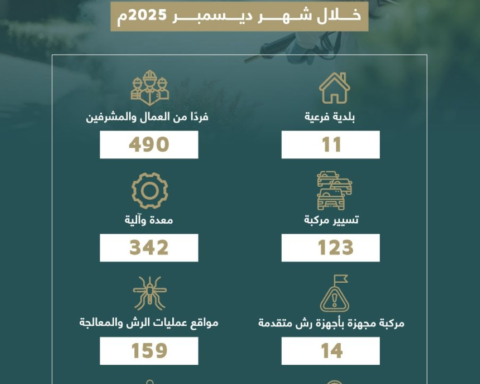 أمانة جدة تعالج 159 موقعاً لتجمعات المياه والبعوض بعد الأمطار