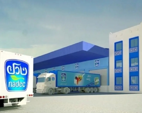 نادك تفتح باب الترشح لعضوية مجلس الإدارة بعد زيادة المقاعد