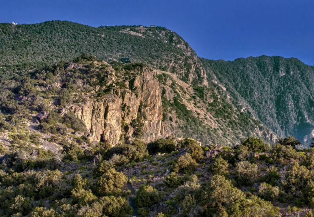 غرامة 2000 ريال لدهس الغطاء النباتي: تحذير وزارة البيئة