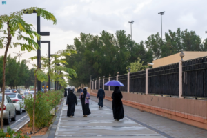 الوطني للأرصاد: أمطار ورياح في تبوك وحائل - تفاصيل الطقس