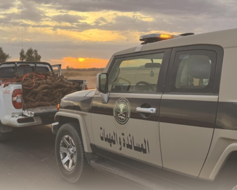 ضبط مخالف لنظام البيئة بالمدينة المنورة لبيع حطب محلي