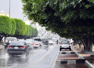 القصيم الأعلى مطراً بـ 22.4 ملم.. تفاصيل هطول الأمطار بالسعودية