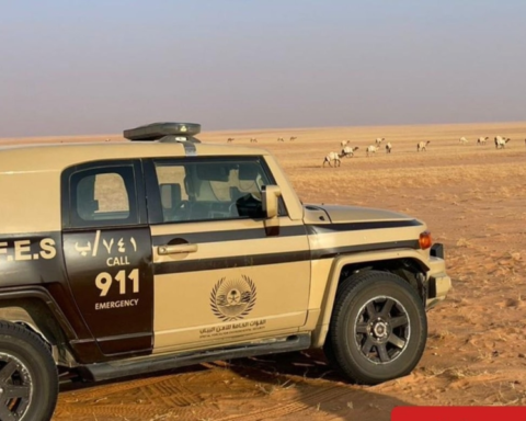 ضبط مخالفات رعي واحتطاب في السعودية وعقوبات صارمة