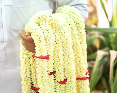 الأعشاب العطرية في جازان: تراث أصيل وعادات تجميلية فريدة