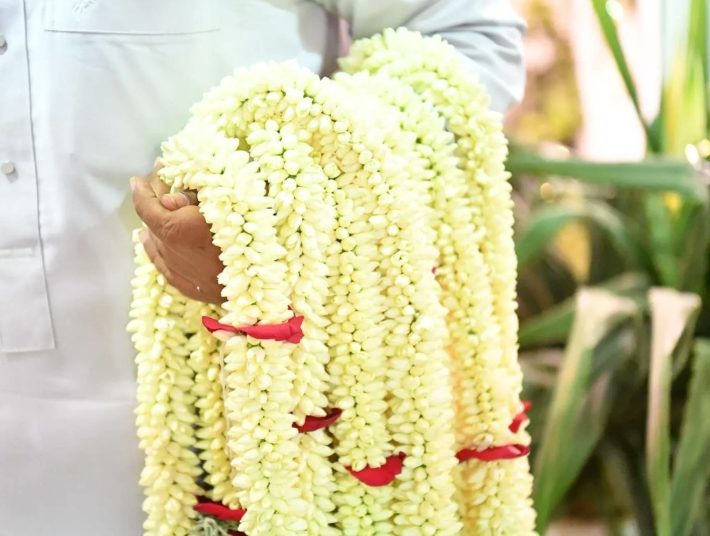 الأعشاب العطرية في جازان: تراث أصيل وعادات تجميلية فريدة