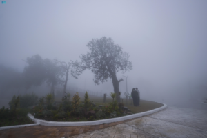 طقس الشرقية اليوم: ضباب كثيف وتنبيهات من الأرصاد