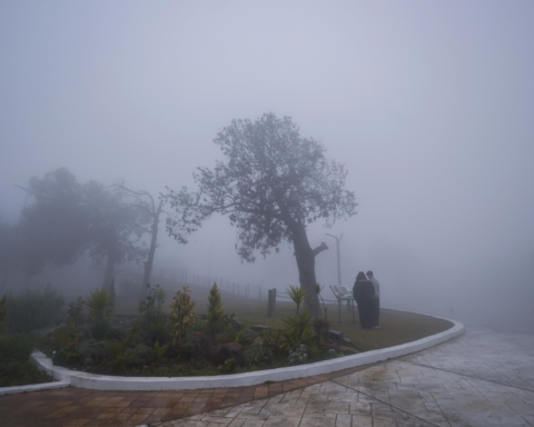 طقس الشرقية اليوم: ضباب كثيف وتنبيهات من الأرصاد