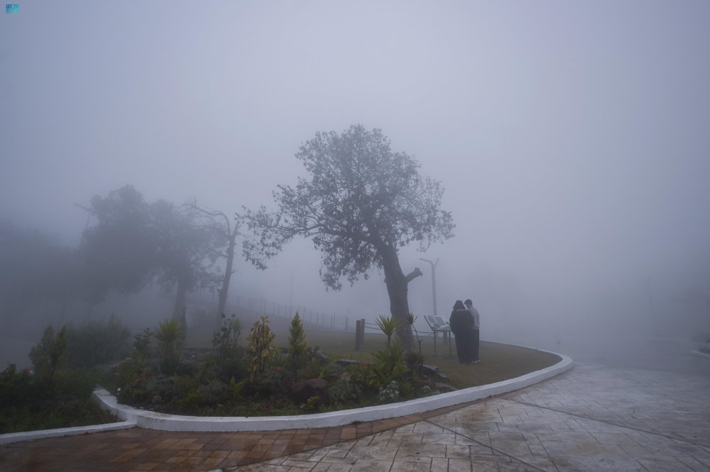 طقس الشرقية اليوم: ضباب كثيف وتنبيهات من الأرصاد