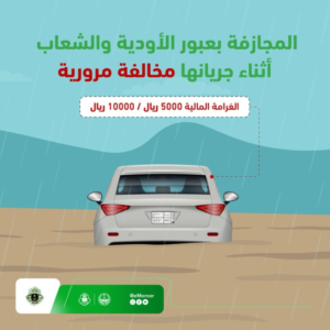 غرامة 10 آلاف ريال.. ضبط متهور عبر شعيباً في رماح