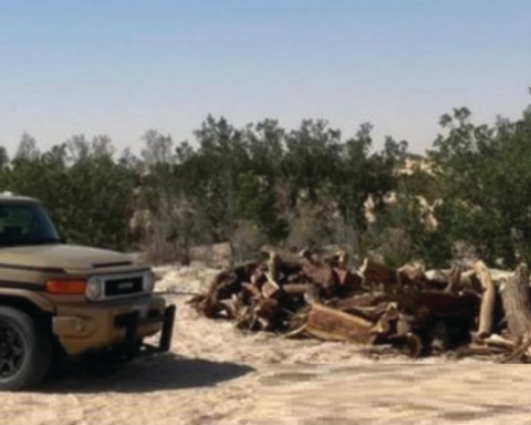 المجاهدين تضبط مخالفين في جازان وحائل: تفاصيل العقوبات