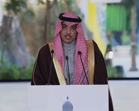 وزير الإعلام: اكتشاف 13 حقلًا للطاقة وإنجازات اقتصادية 2025