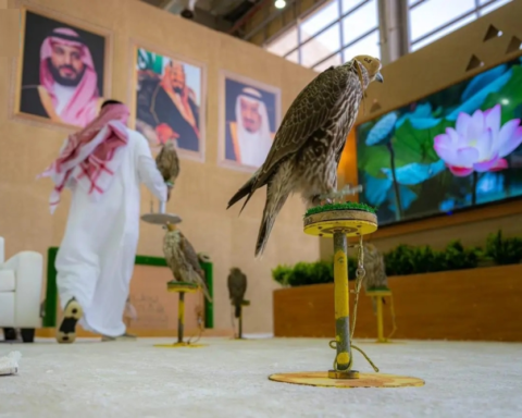 انطلاق مهرجان الملك عبدالعزيز للصقور 2025: جوائز بـ 38 مليون ريال