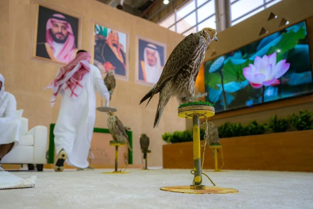 انطلاق مهرجان الملك عبدالعزيز للصقور 2025: جوائز بـ 38 مليون ريال