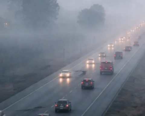 الأرصاد السعودية: ضباب كثيف وتدني الرؤية في 8 مناطق حتى الثلاثاء
