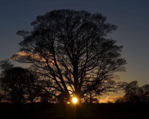 سر تأخر الفجر بعد الانقلاب الشتوي رغم طول النهار