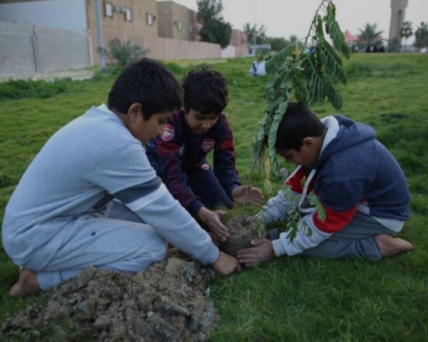 إطلاق منصة التشجير لتوحيد جهود السعودية الخضراء وزراعة 151 مليون شجرة