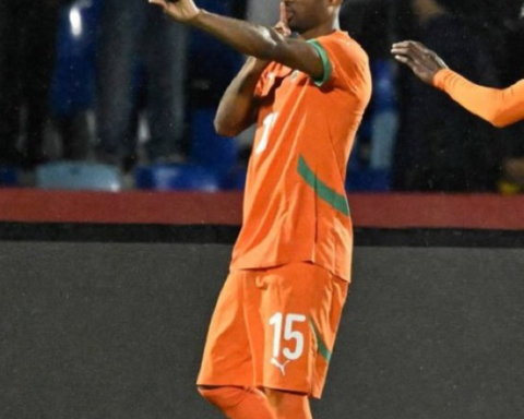 كوت ديفوار تهزم موزمبيق بهدف ديالو في كأس أمم أفريقيا