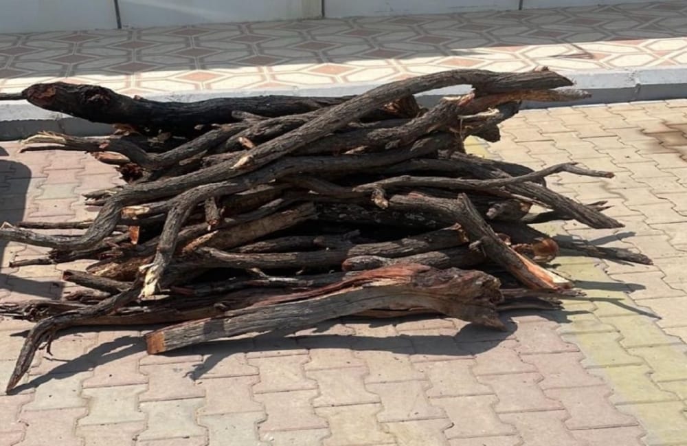 ضبط مخالف في حائل يبيع الحطب المحلي: جهود حماية البيئة