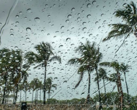 أمطار المدينة المنورة: الأرصاد تنبه من رياح نشطة وتدني الرؤية