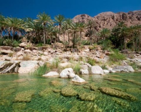 The Ministry of Culture concludes the documentation of intangible heritage in Al-Ahsa