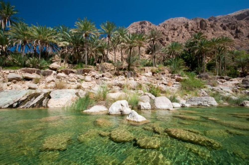 The Ministry of Culture concludes the documentation of intangible heritage in Al-Ahsa